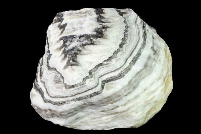 Free-Standing, Banded Zebra Calcite - Mexico #155773